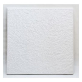 IBERICA (61CM X 61CM)