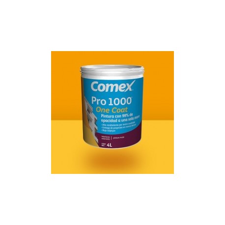 PRO 1000 ONE COAT V1 19 LITROS