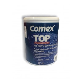 TOP WALL HUMEDAD EXTREMA BLANCO B 1 LITRO